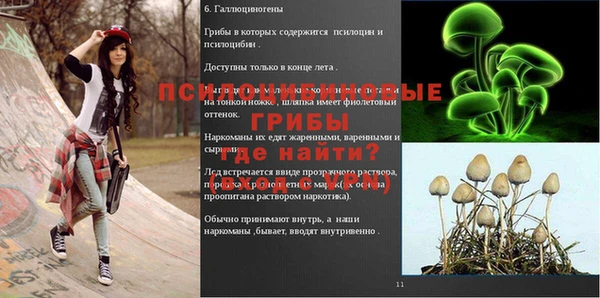 трава Волоколамск