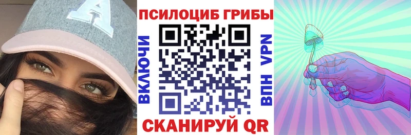 сколько стоит  Тайга  Псилоцибиновые грибы Magic Shrooms 